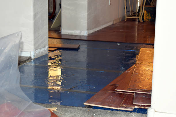 Professional Water Damage Repair technician working in Harrah, WA